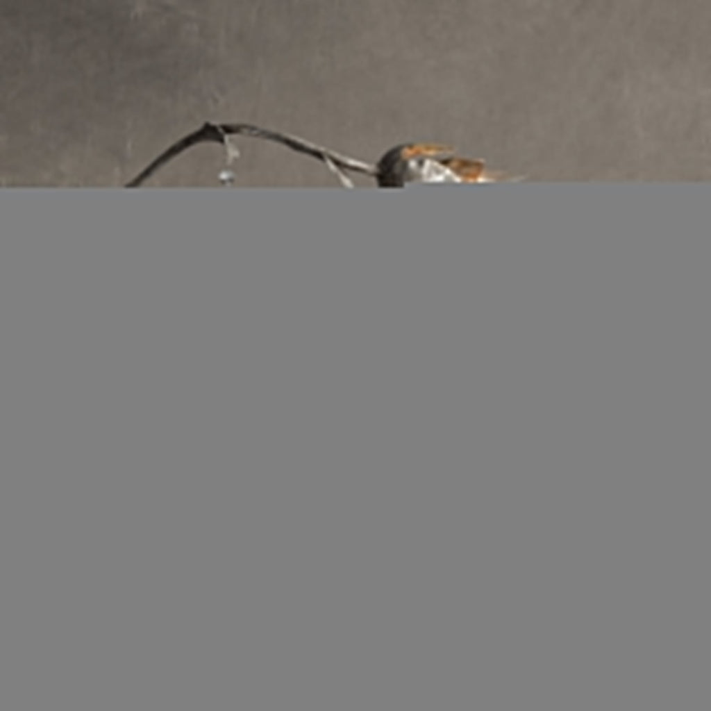 Vinetress Rectangular Chandelier