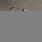Vinetress Rectangular Chandelier