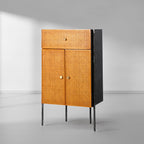 Thadson Metal Frame Rattan Side Cabinet 25''