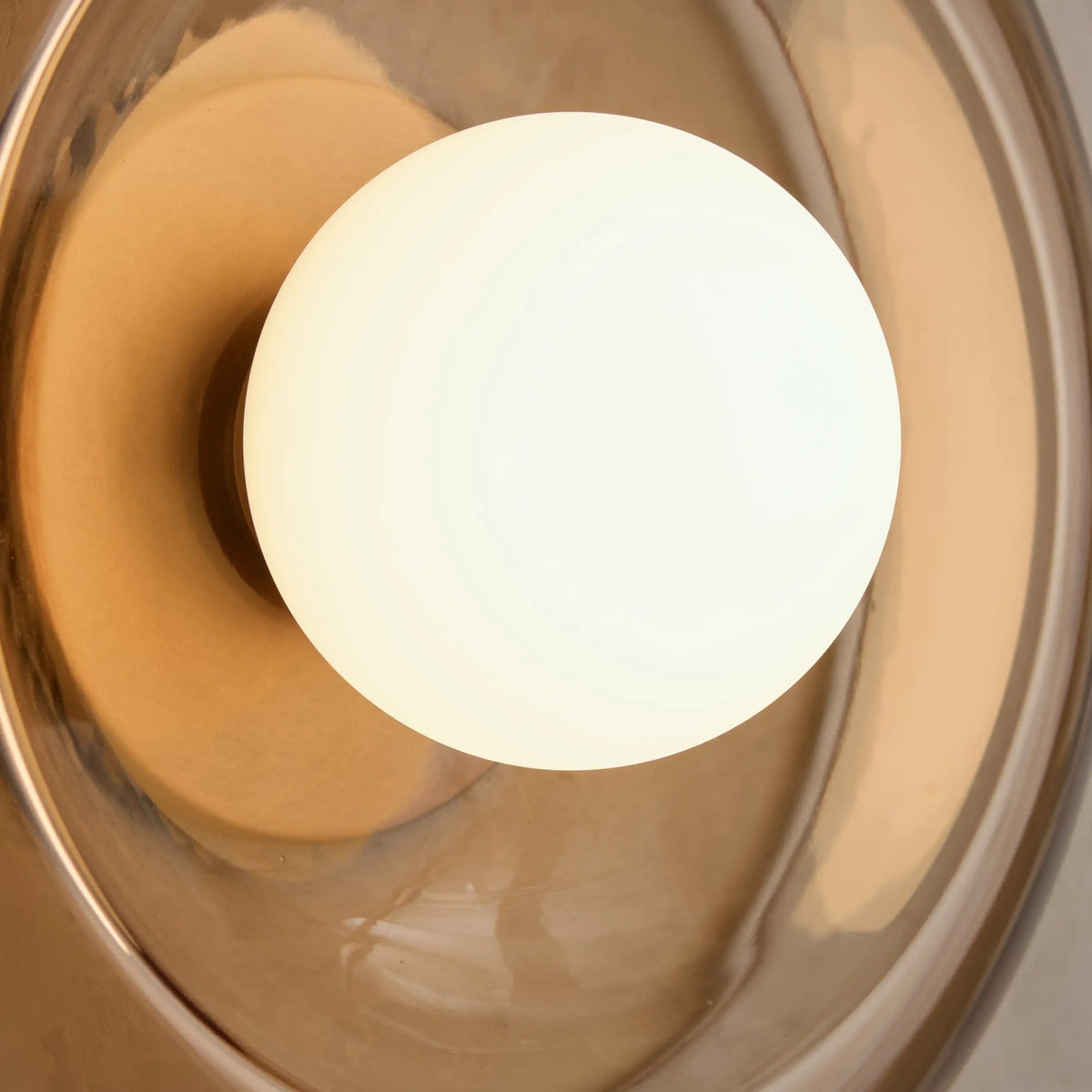 Curvenest Sconce