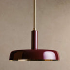 Lacquercove Pendant 16'' 24''D