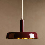 Lacquercove Pendant 16'' 24''D