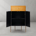 Thadson Metal Frame Rattan Side Cabinet 25''