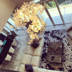 Ceramic Gingko Chandelier B - ebuylight