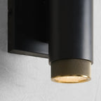 Beamward Spotlight 2-Light Outdoor Wall Sconce