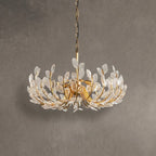 Petalreach 6 Light Chandelier